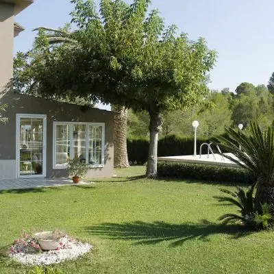 Jardín soleado en las afueras con una casa, césped verde, un árbol podado y una piscina blanca al fondo.