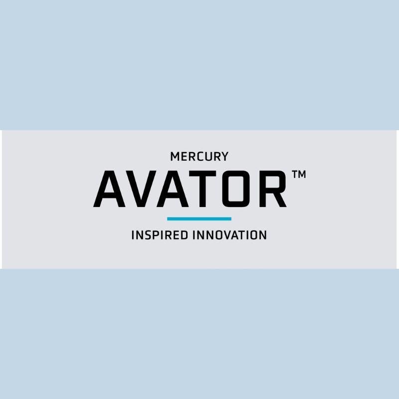 Logo Avator