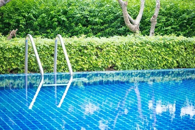 Una piscina con escaleras y un seto al fondo.