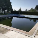 Una gran piscina con árboles al fondo.