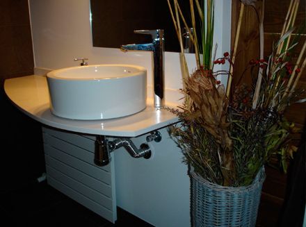 Un baño con un lavabo y una planta en maceta.