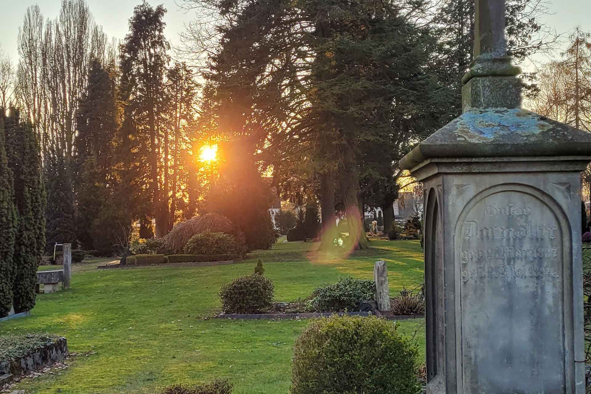 Friedhofsszene mit durch die Bäume fallendem Sonnenlicht; im Vordergrund ein Steinkreuz, Gras und Grabsteine.