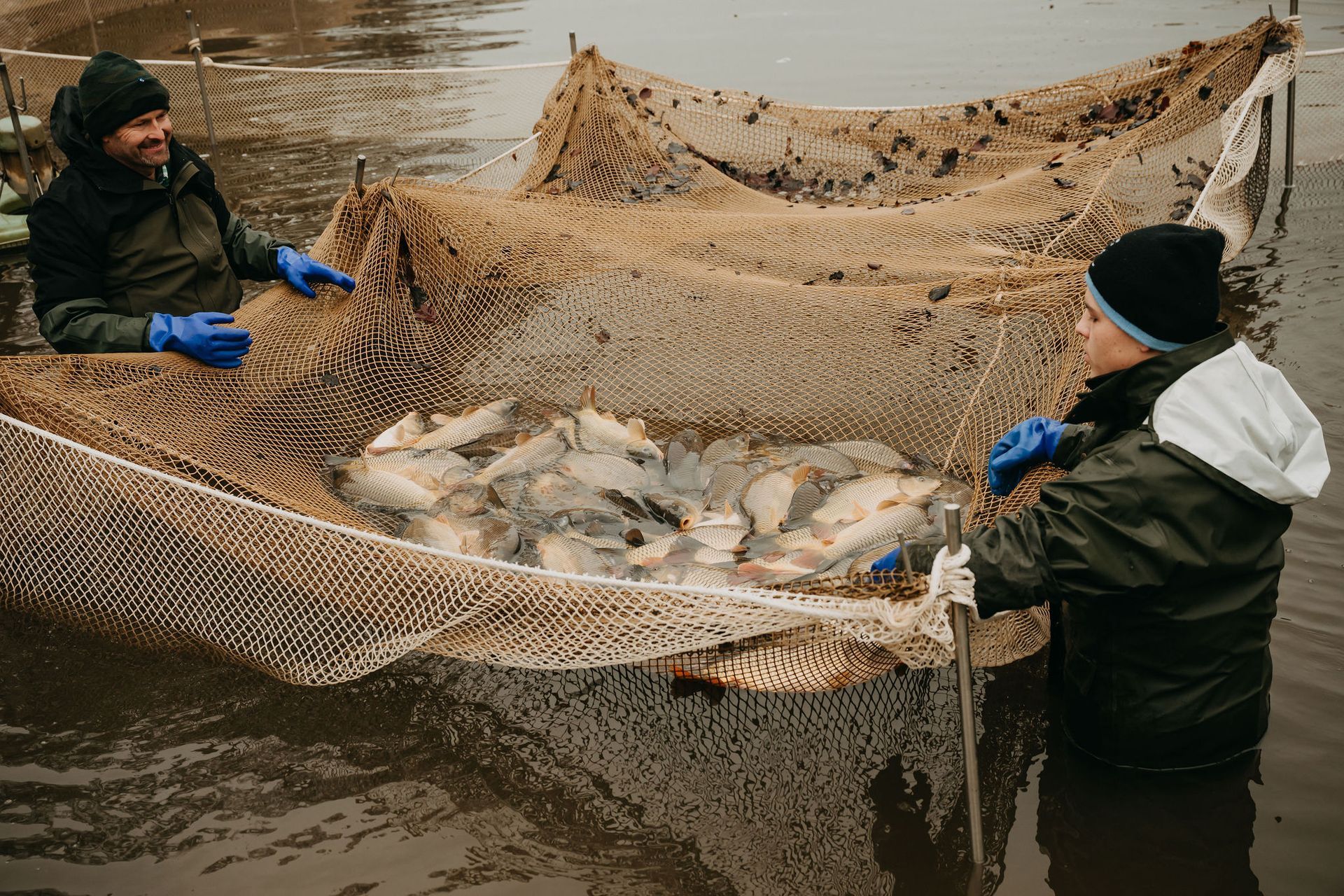Fischzucht, Fischbecken in See