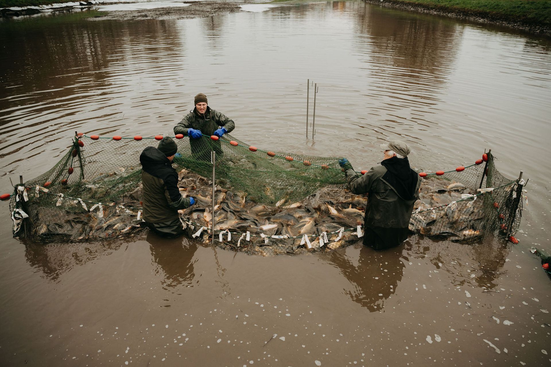 Fischzucht, Fischbecken in Meer