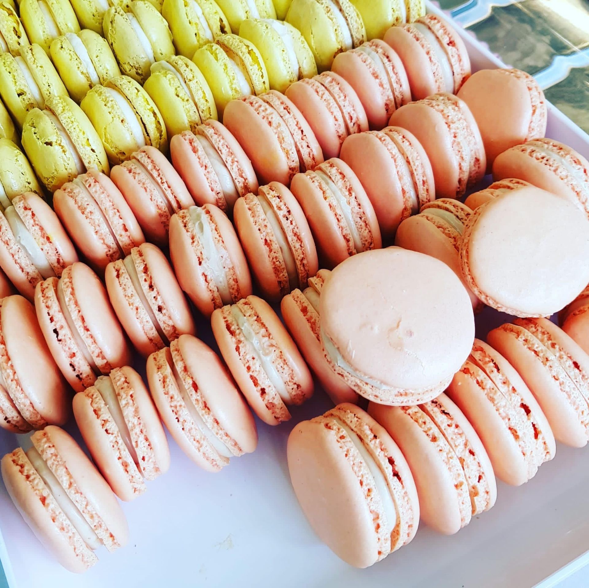 Mille-feuilles, éclairs, tartellettes et gâteaux à Yvonand et Yverdon - Boulangerie Lauria