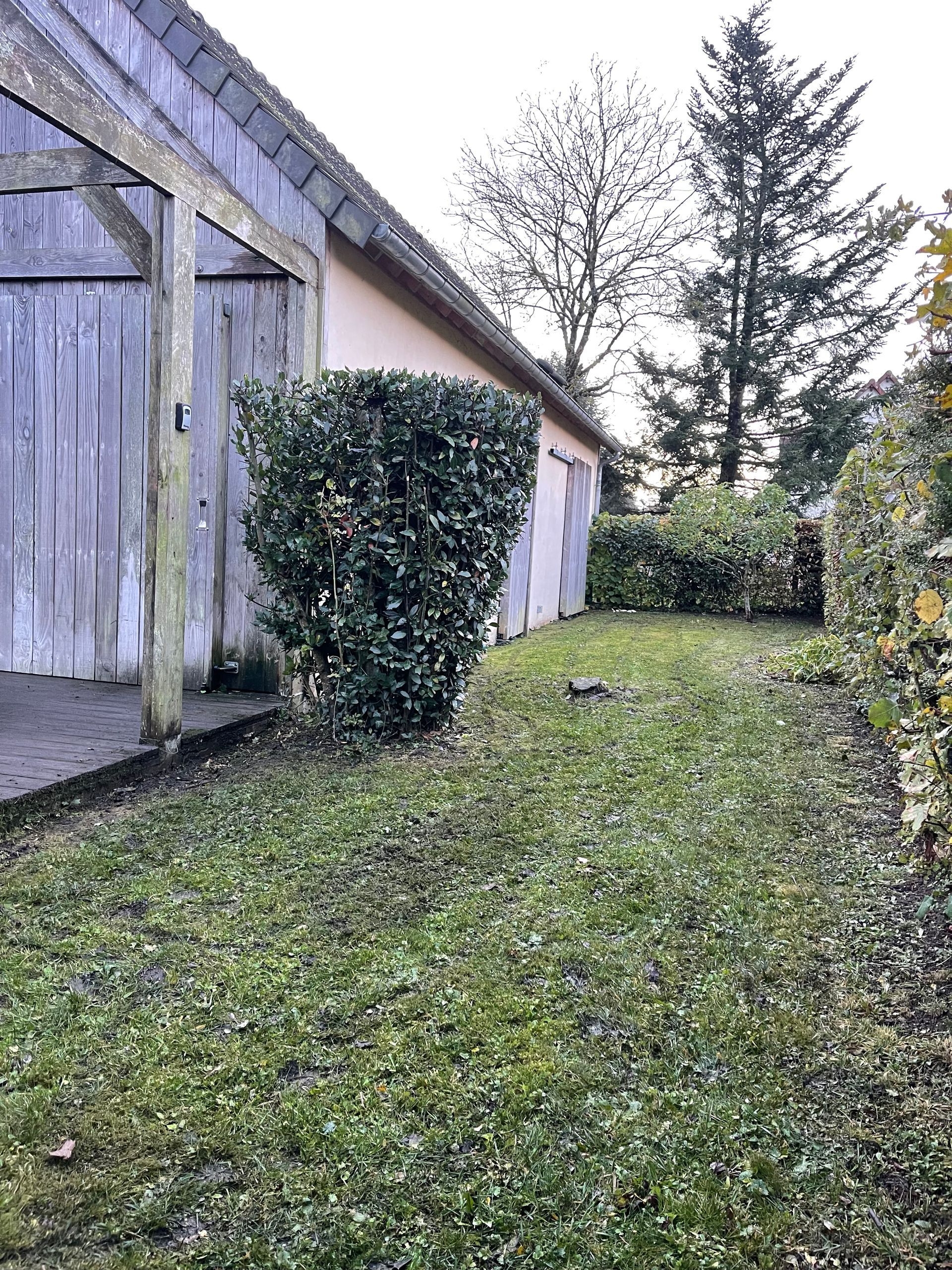 Tonte de pelouse et taille de haies