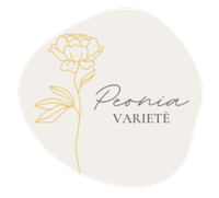 logotipo cabecera