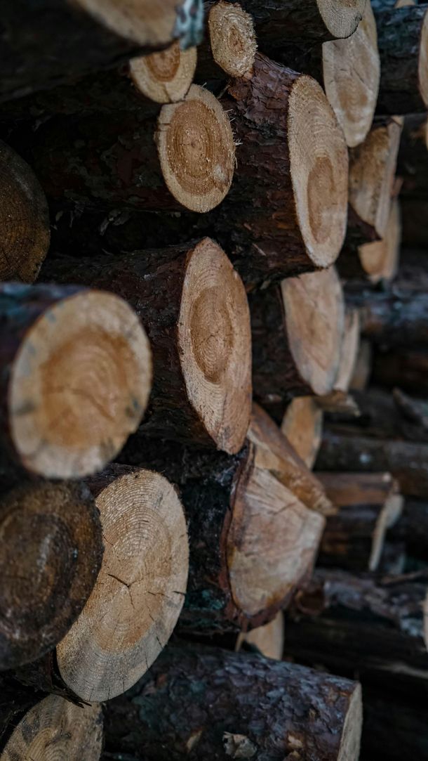 Bûches de bois de chauffage coupées, à l'écorce foncée et aux extrémités claires, empilées les unes sur les autres.