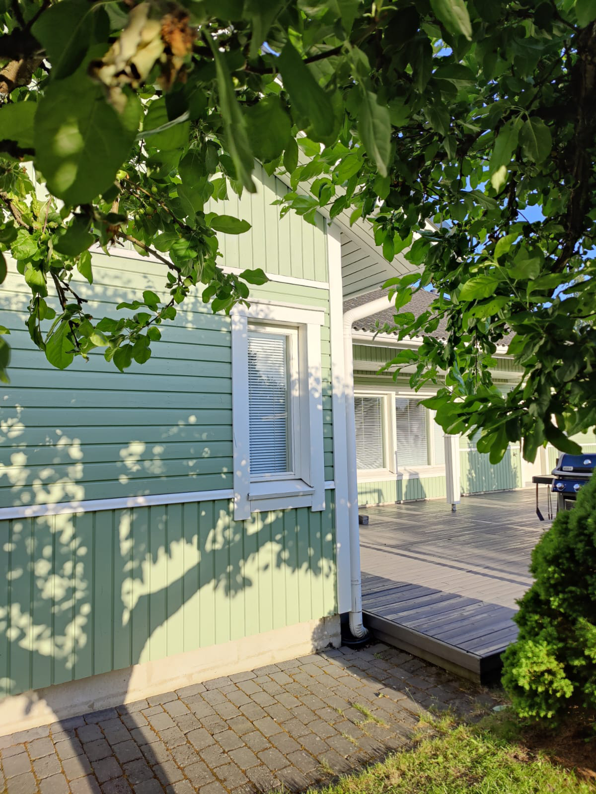 Piharakennusten maalaukset