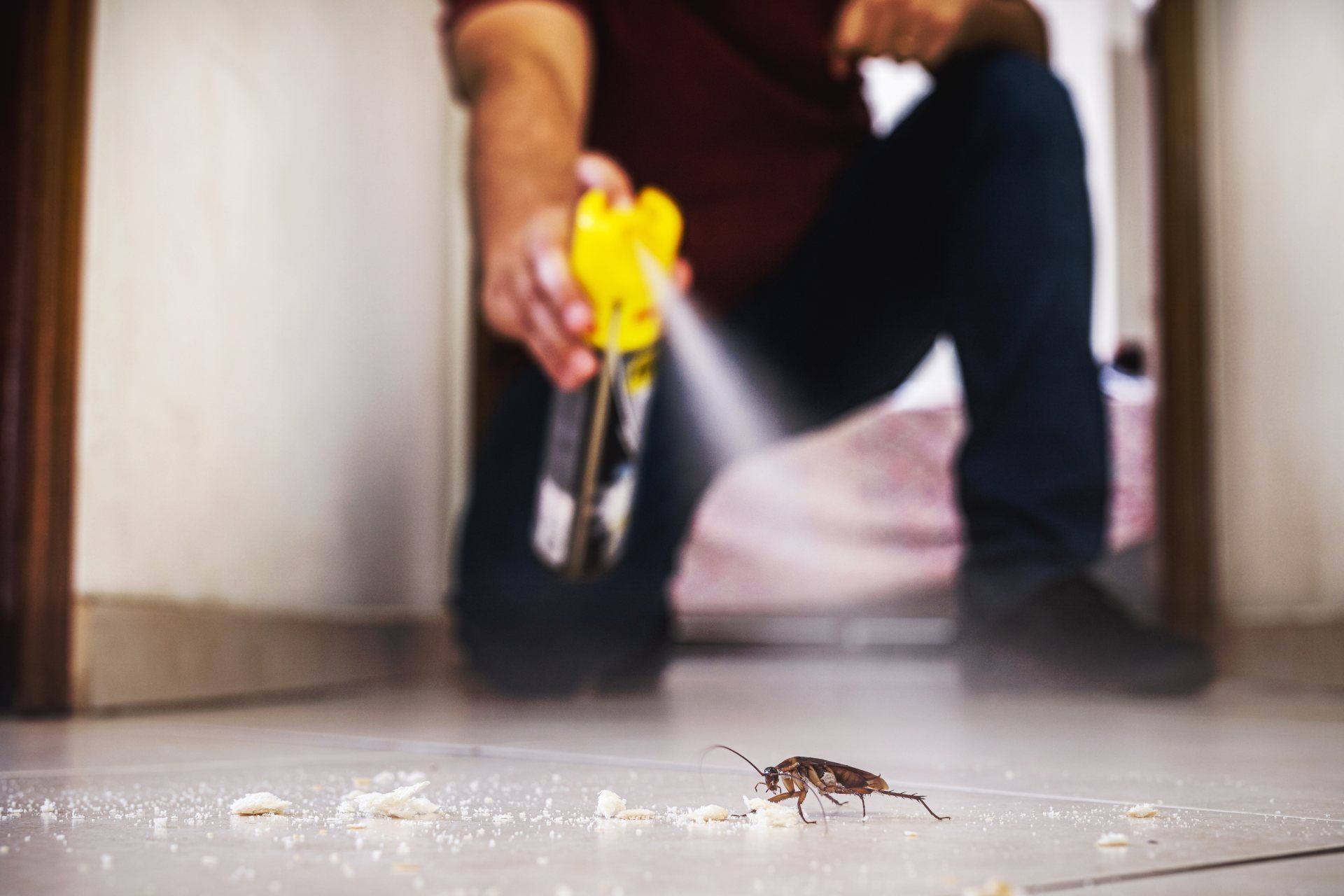 Foto einer Person, die Insektenspray auf ein Insekt auf dem Fußboden sprüht
