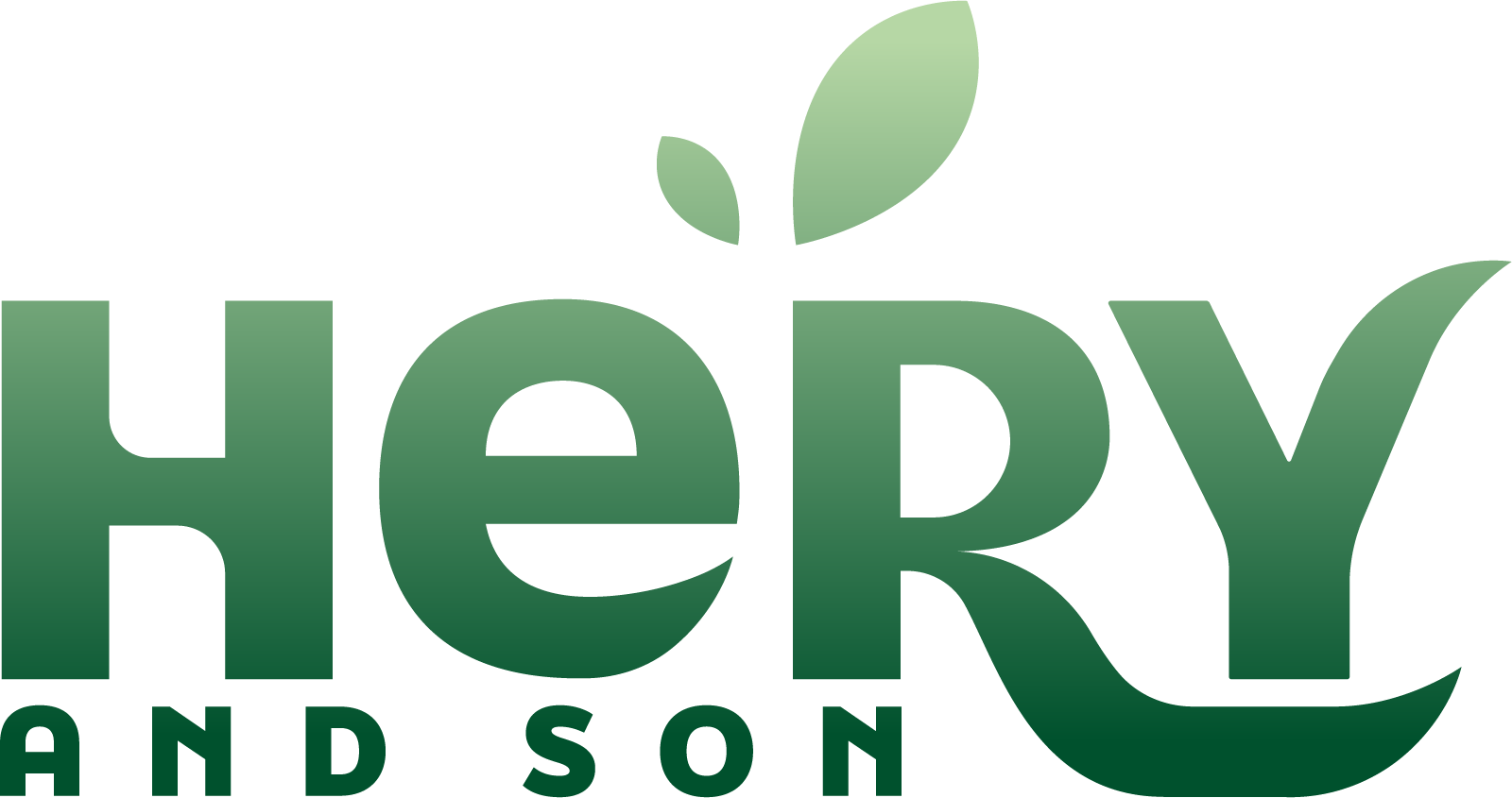 Logo de la société Hery and son