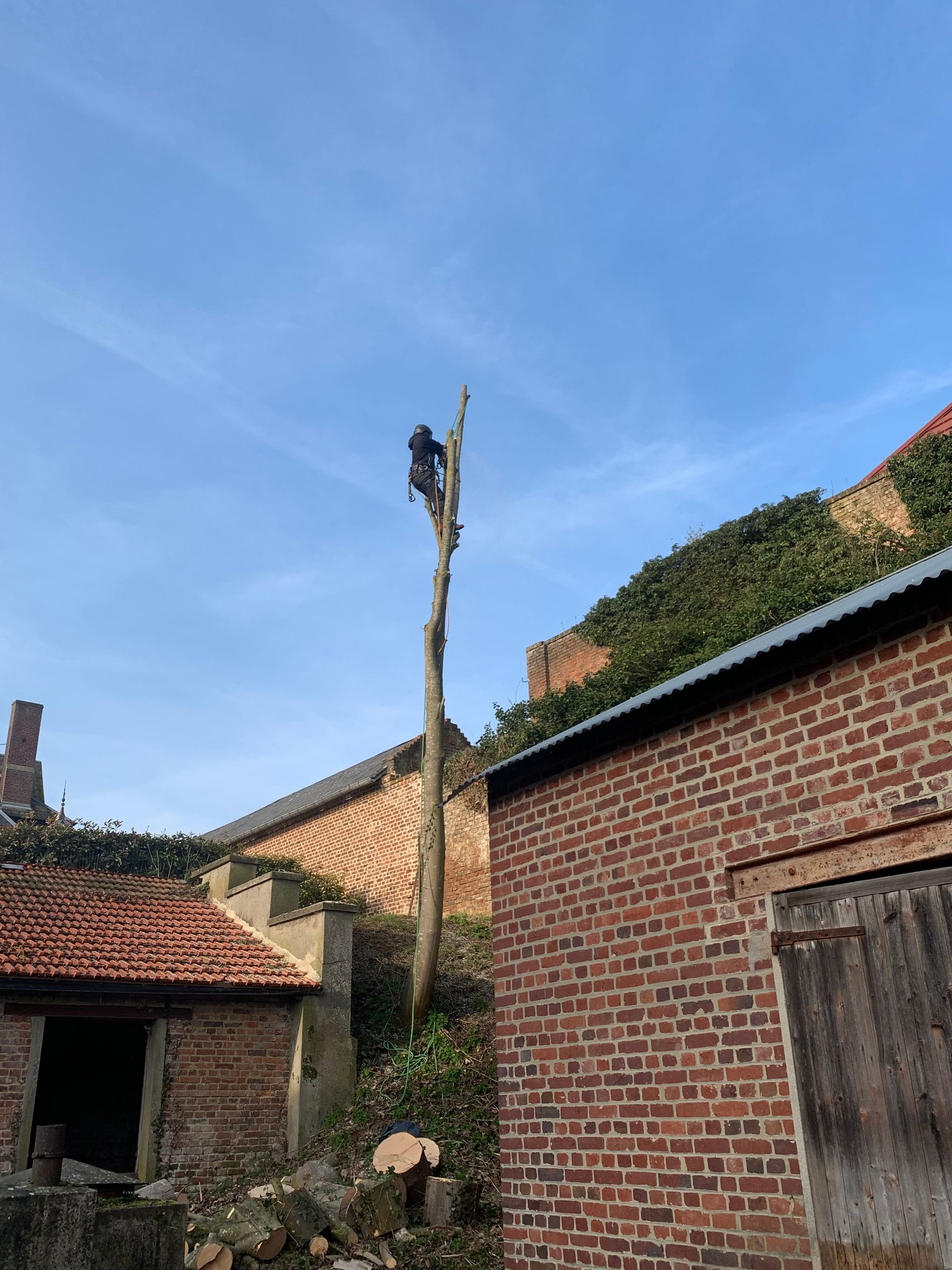 Abattage de sécurité, vue maison, suite des travaux en hauteur, Nathan Hery, élagueur-abatteur