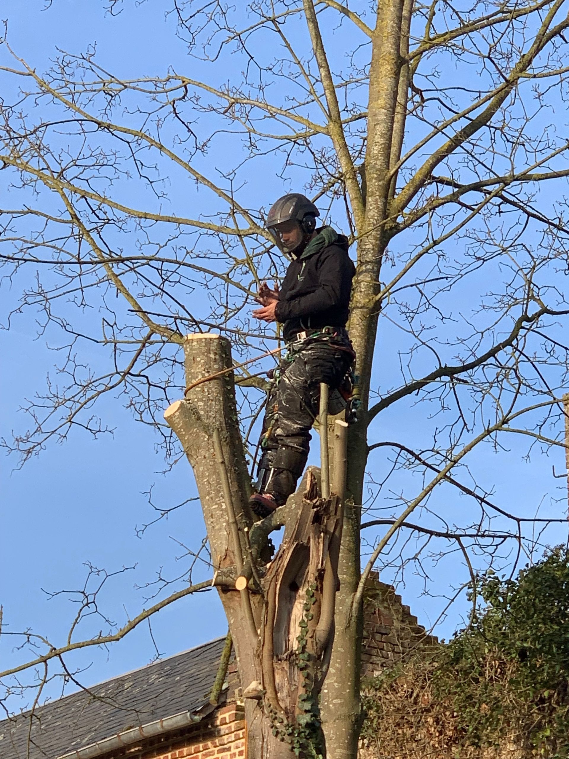 Abattage de sécurité, riverains, Nathan Hery, élagueur-abatteur