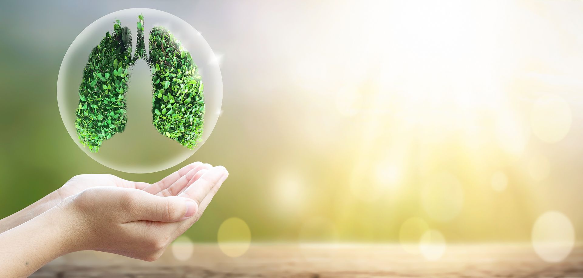 Feuillage en forme de poumons dans une bulle, avec main soutenant l'ensemble
