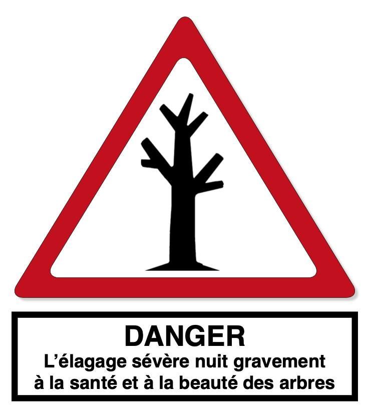 Pictogramme danger élagage sévère