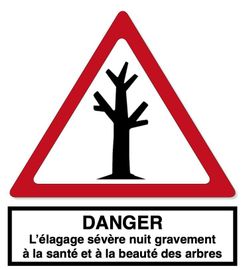 Pictogramme danger élagage sévère