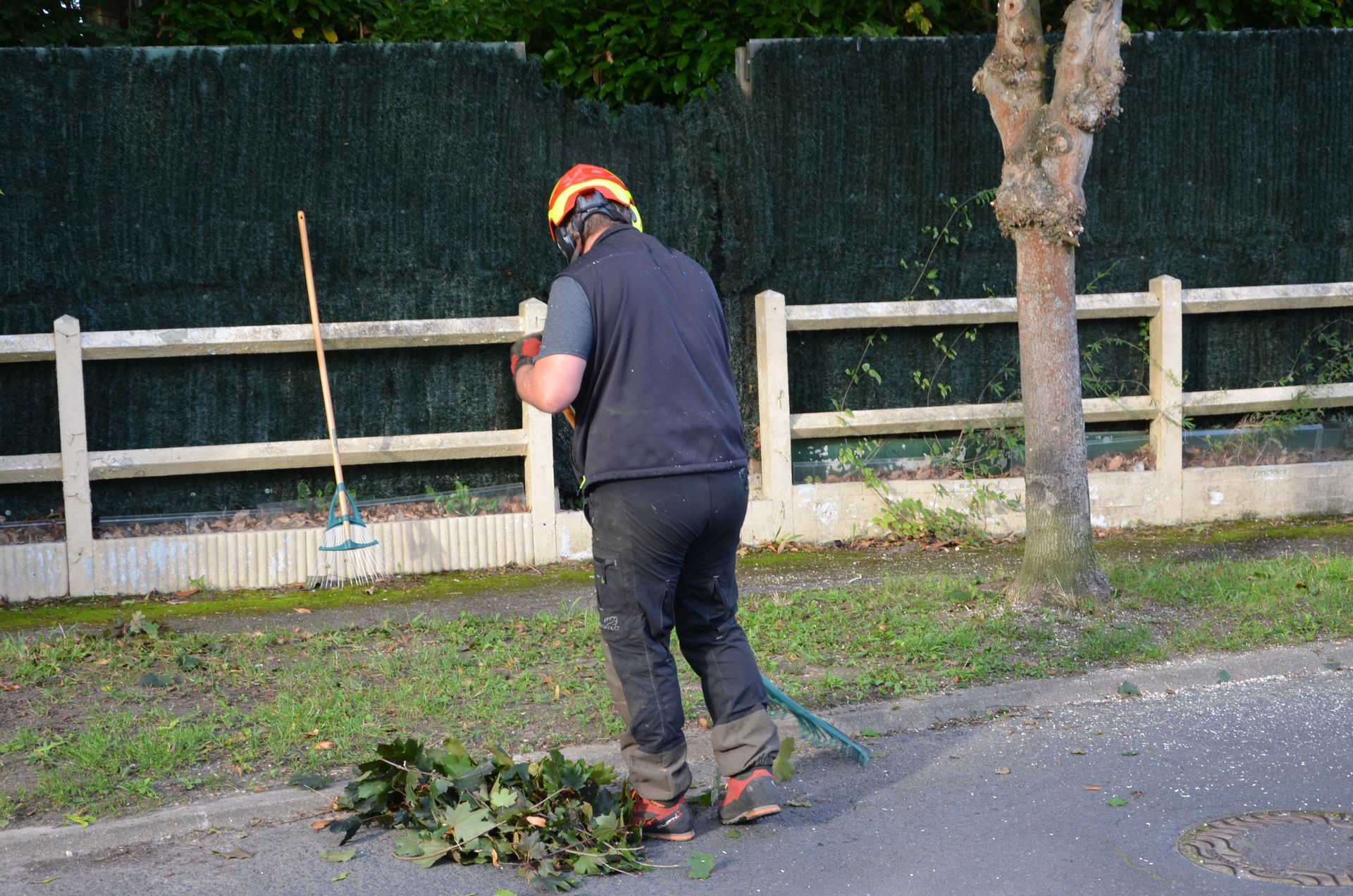 Ramassage de branches et de feuilles en cours