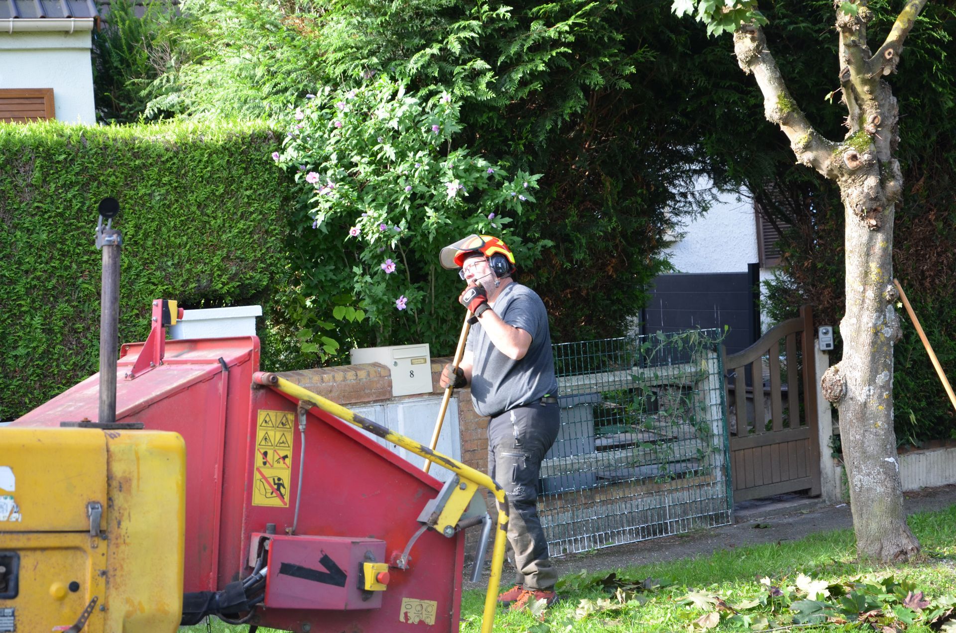 Remontée de branches, ramassage