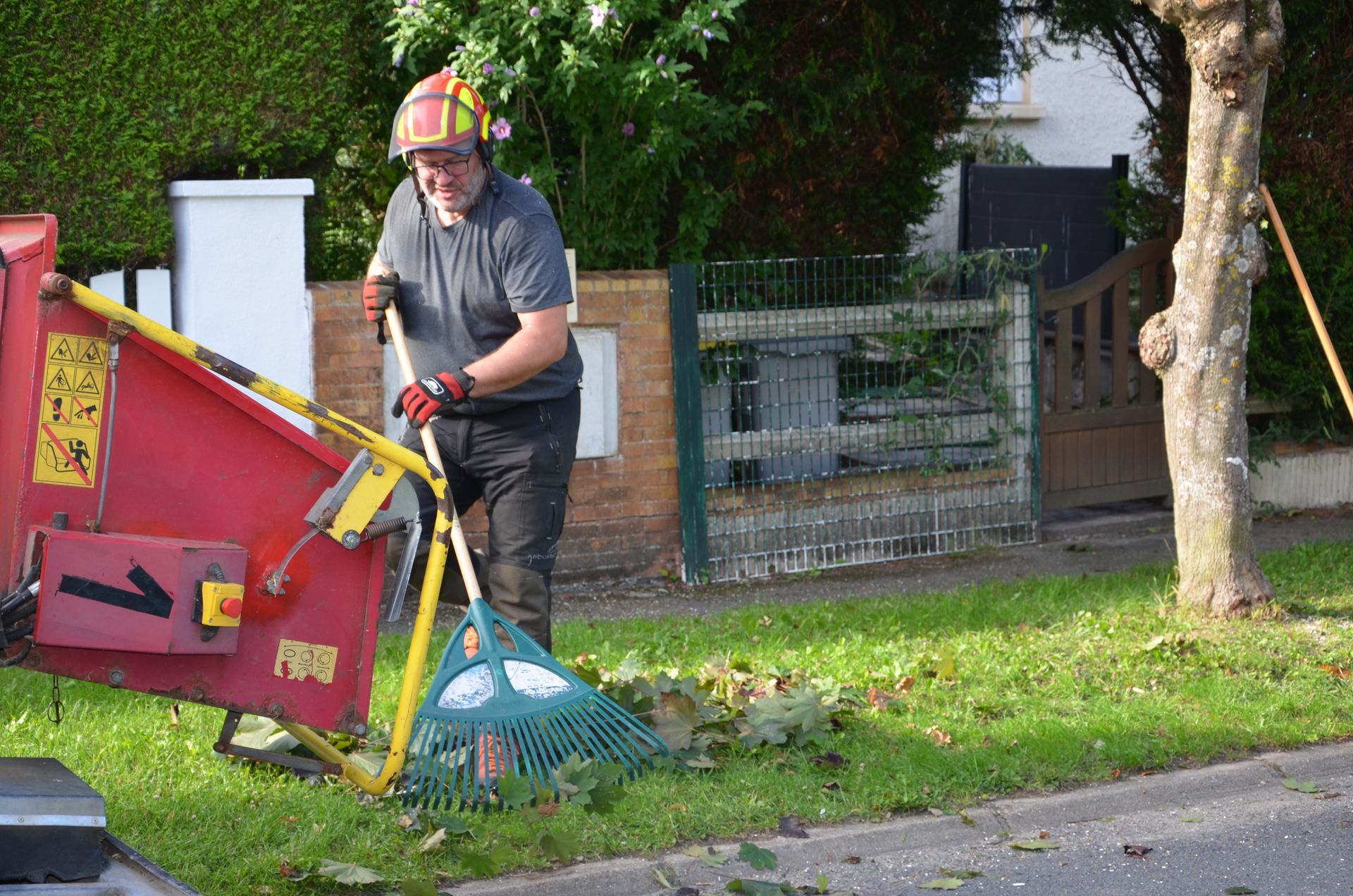 Remontée de branches, ramassage et nettoyage