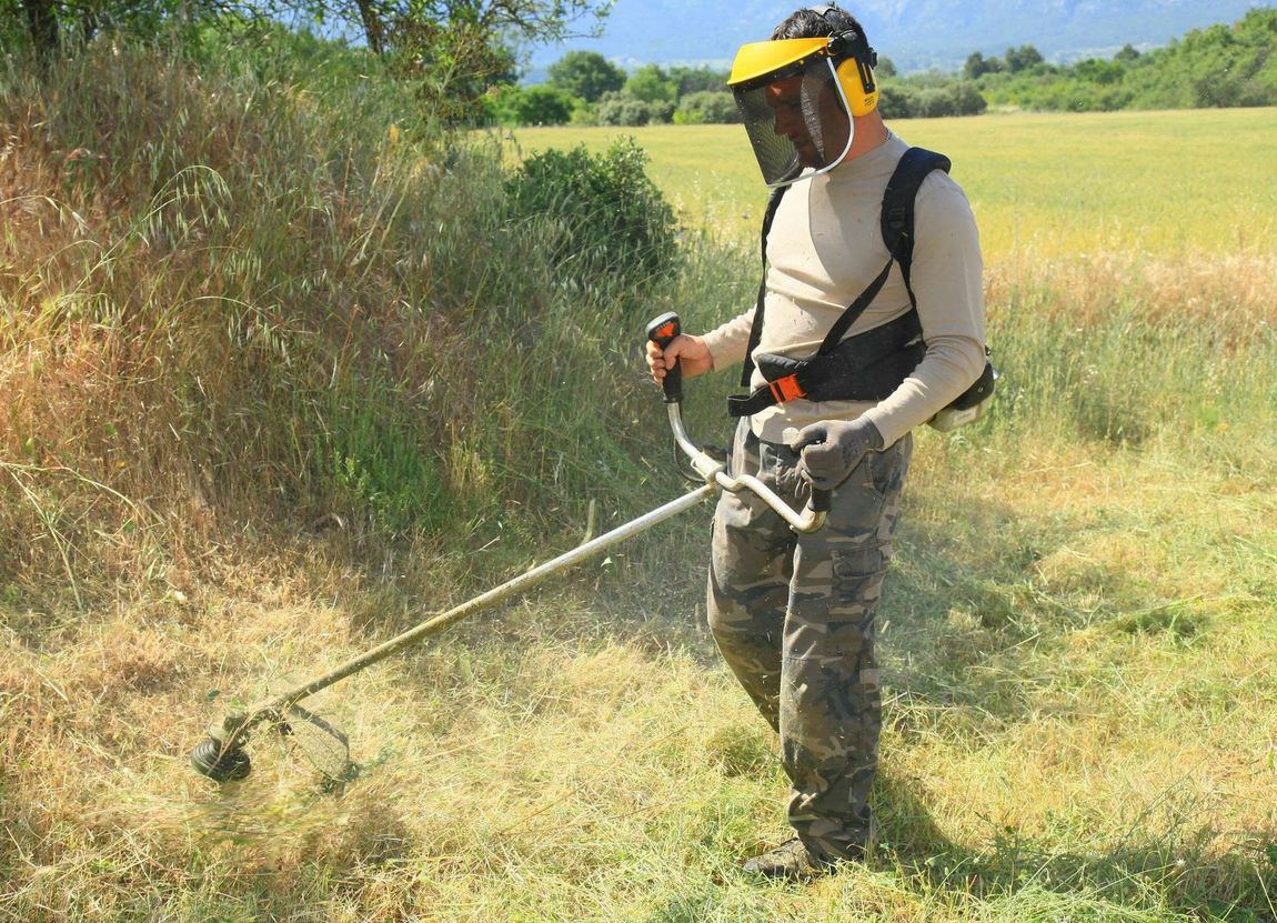 Professionnel en train de débroussailler