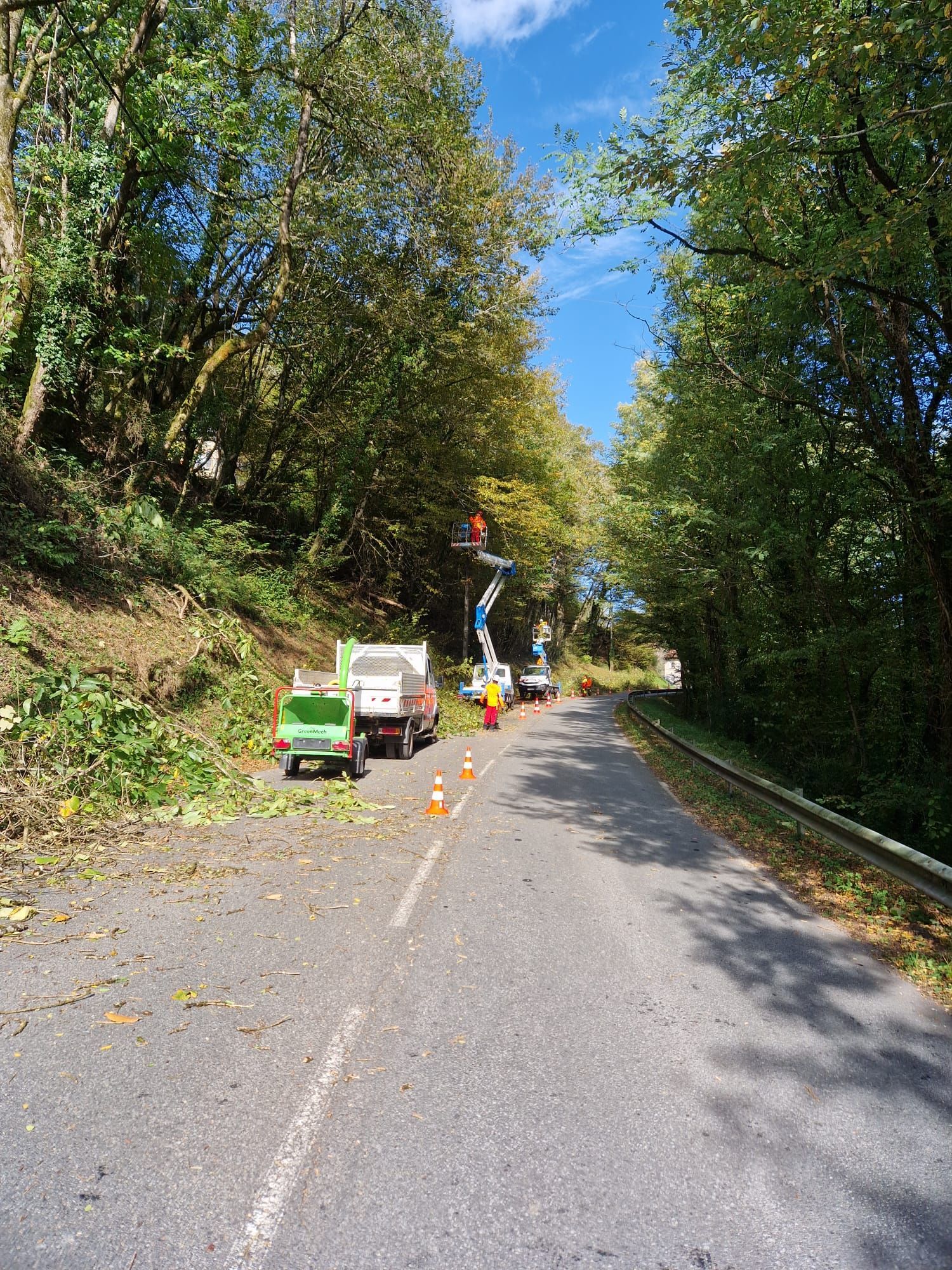 Professionnels abattant des arbres sur le bord de route à l'aide de nacelles