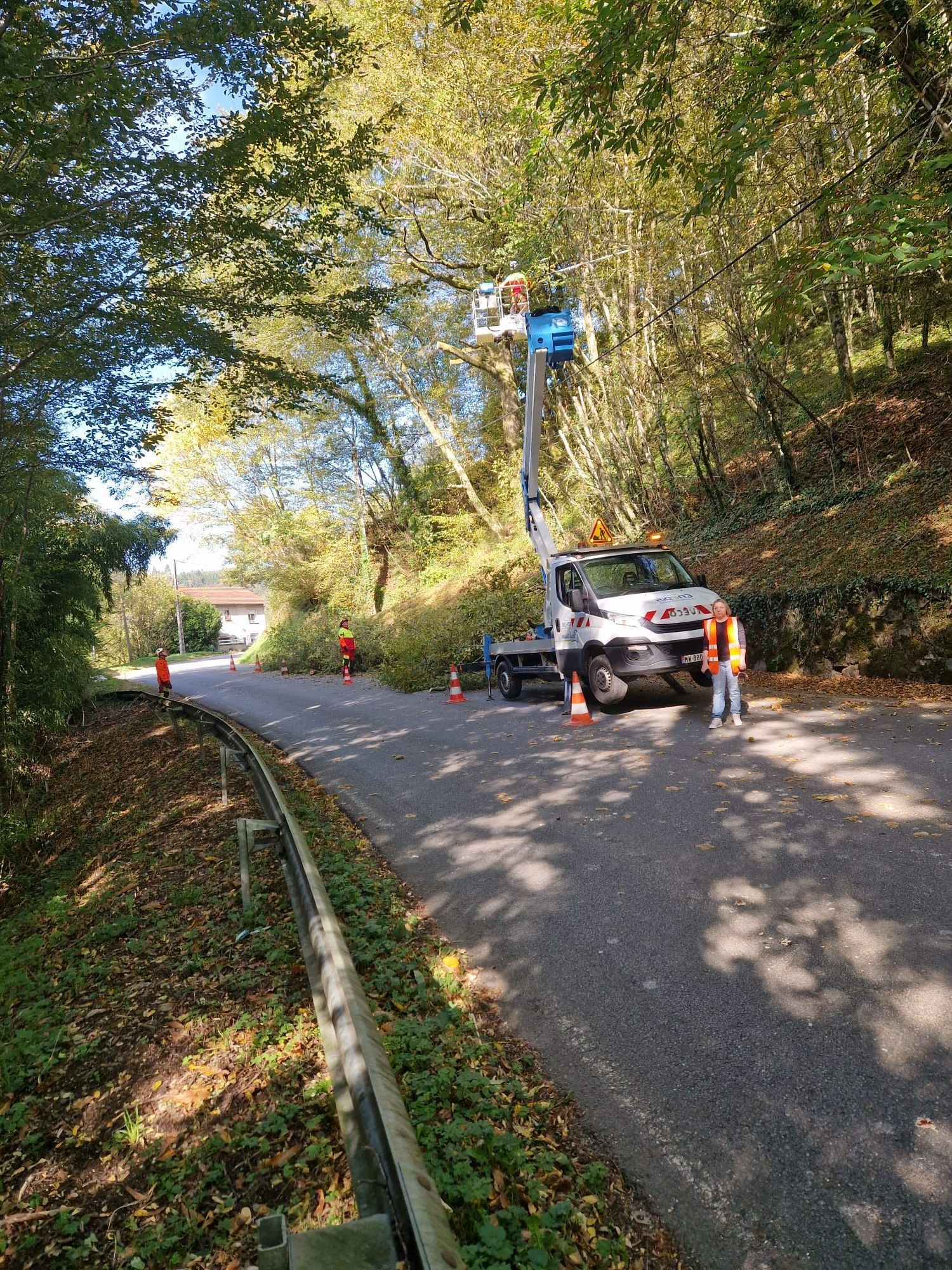 Tronc d'arbre en tronçons
