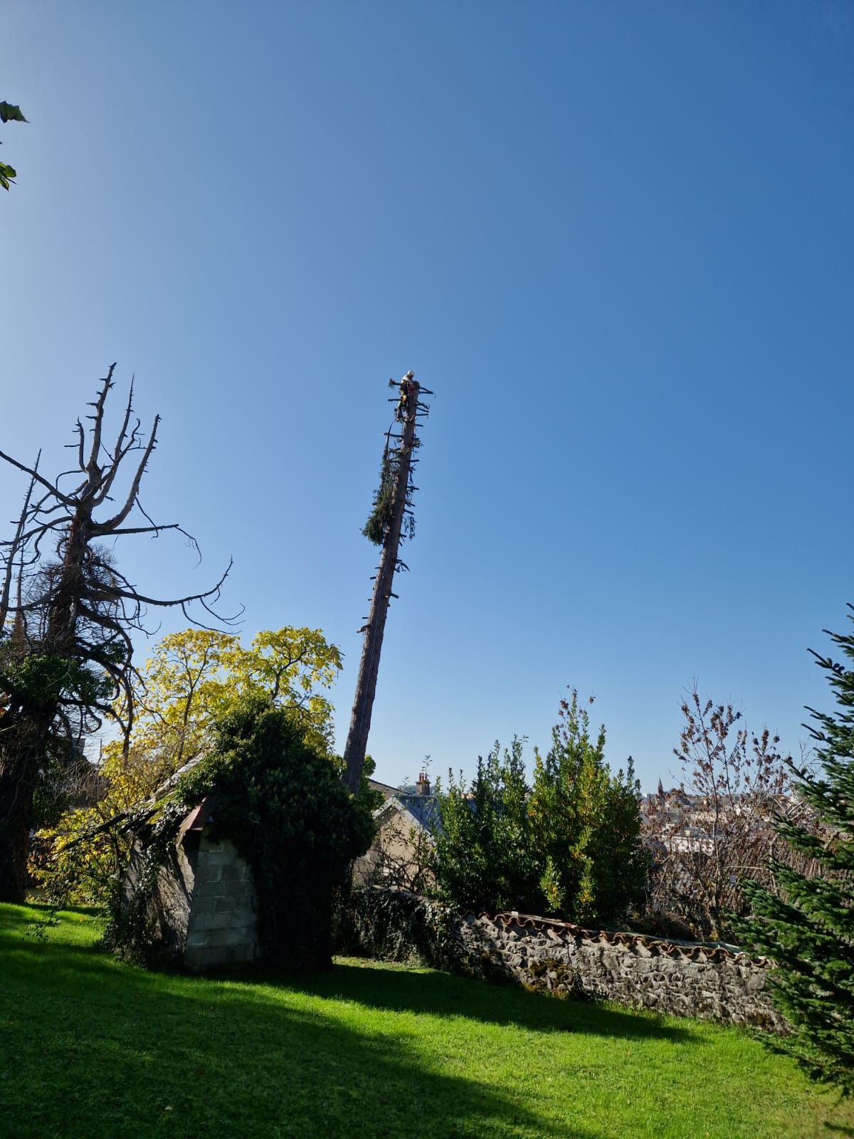 Démontage d'arbre
