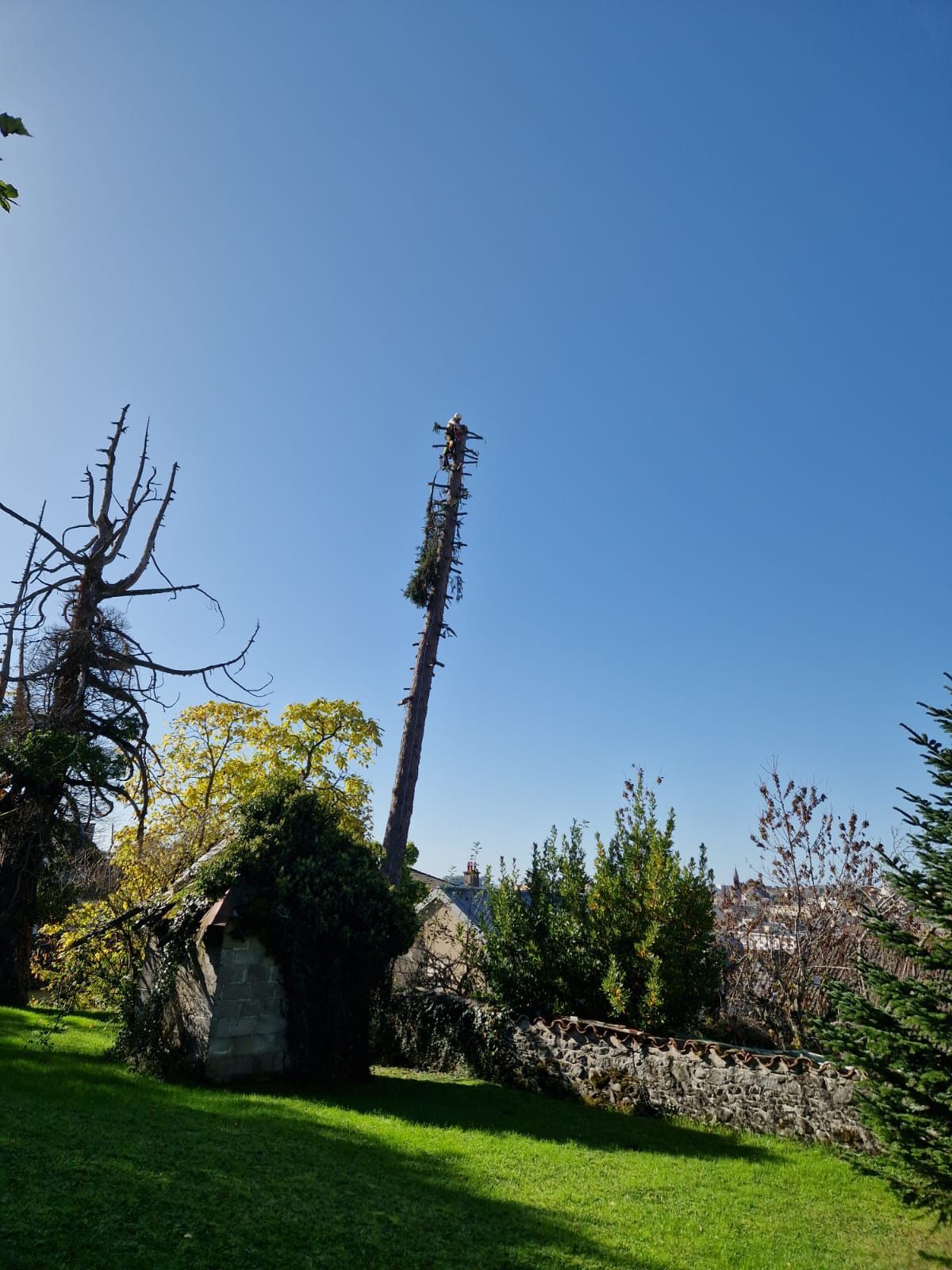 Démonter un arbre