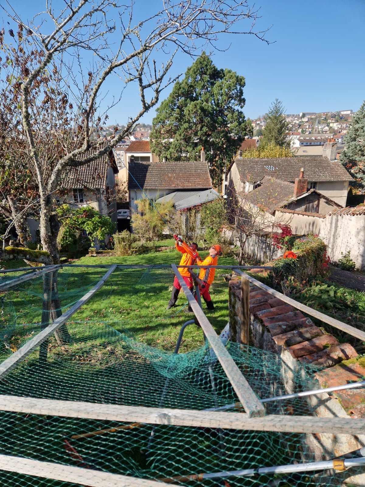 Travaux d'élagage