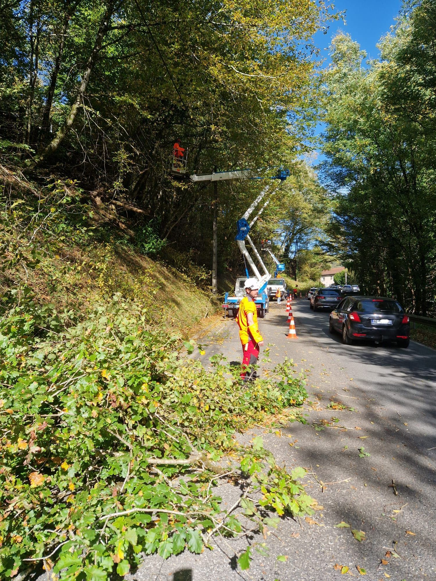 Élagage en bord de route