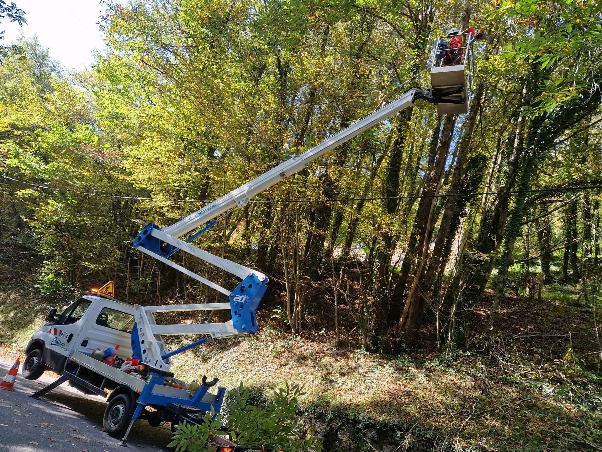 Élagage depuis un camion nacelle