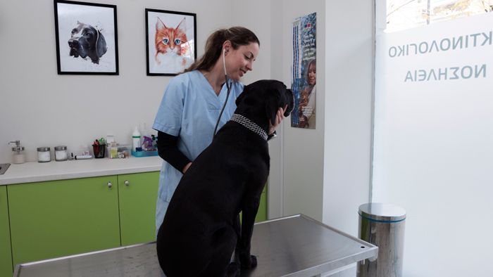 Κτηνιατρικό Κέντρο Νέας Σμύρνης