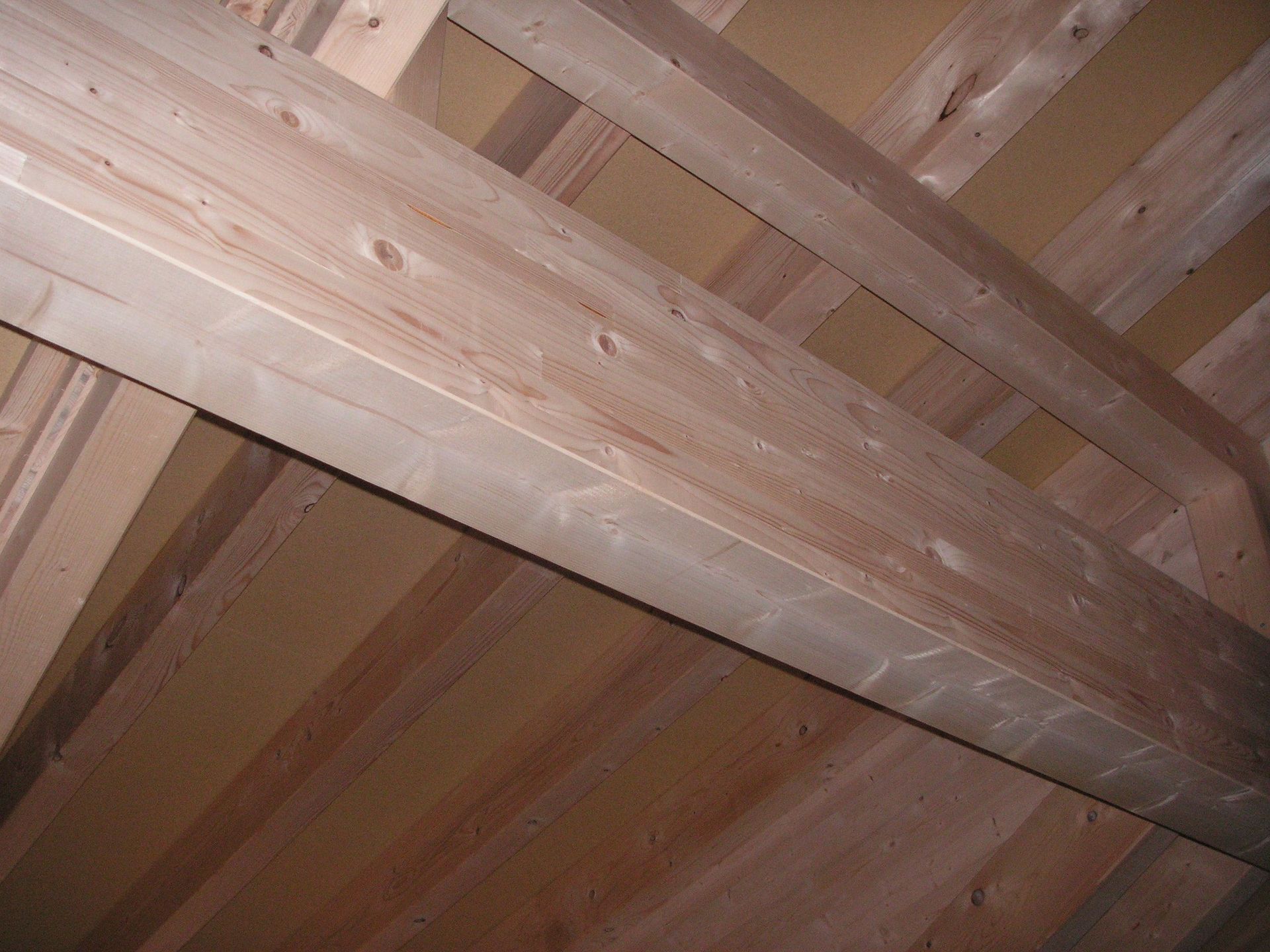 Holzhaus - Schneider Holzbau GmbHHolzhaus - Schneider Holzbau GmbH