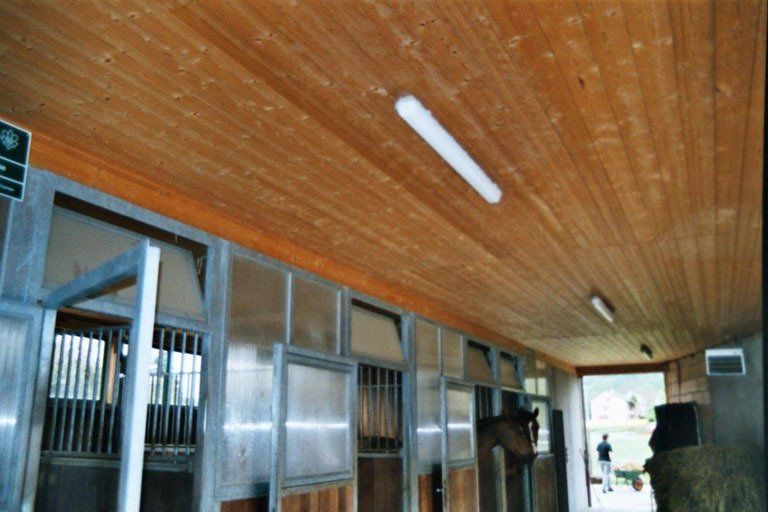 Holzhaus - Schneider Holzbau GmbH