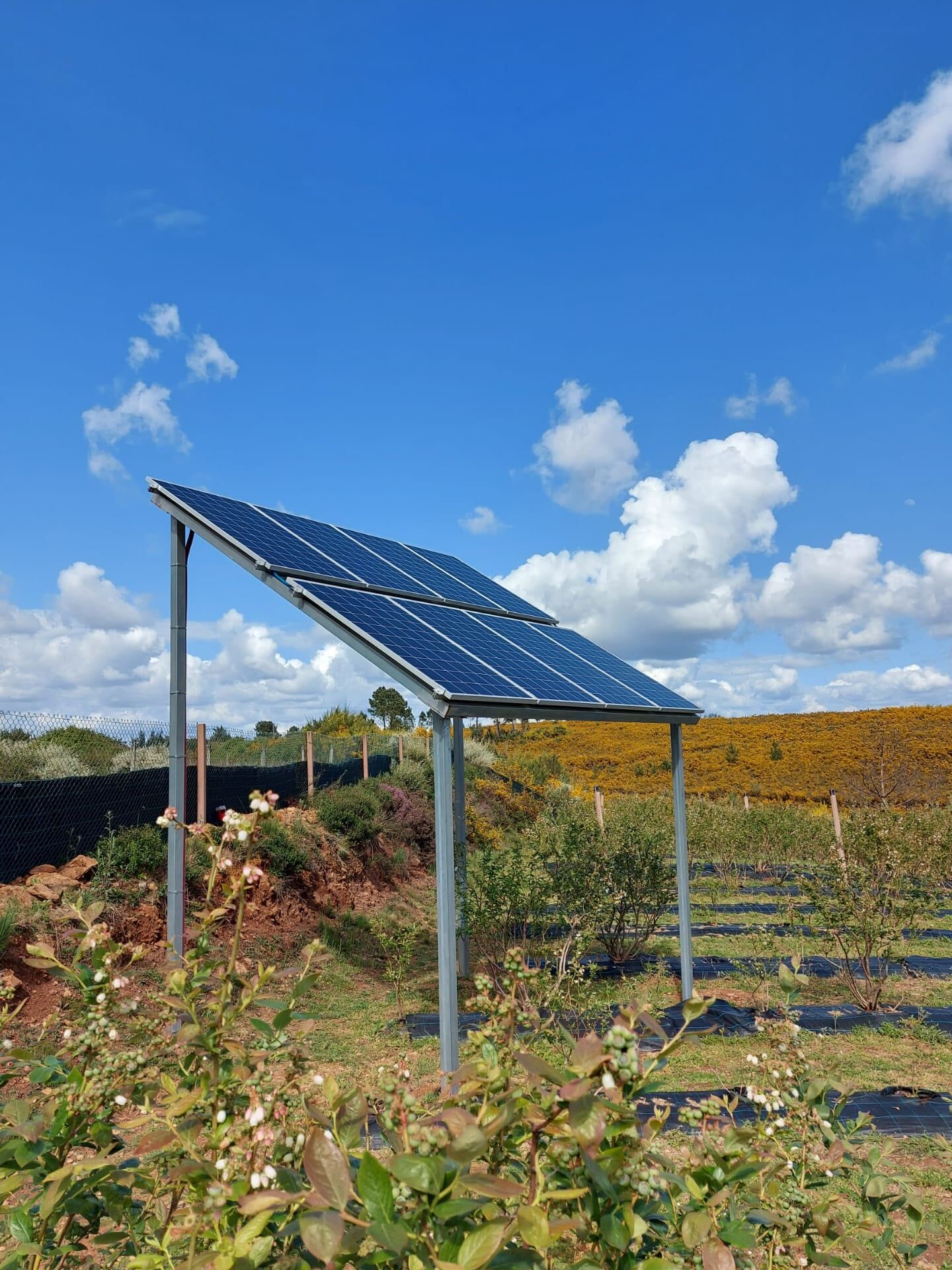tratamento águas Tábua, Coimbra, Santa Comba Dão, Arganil e Penacova