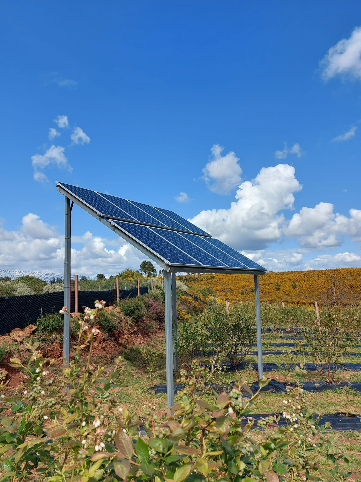 tratamento águas Tábua, Coimbra, Santa Comba Dão, Arganil e Penacova