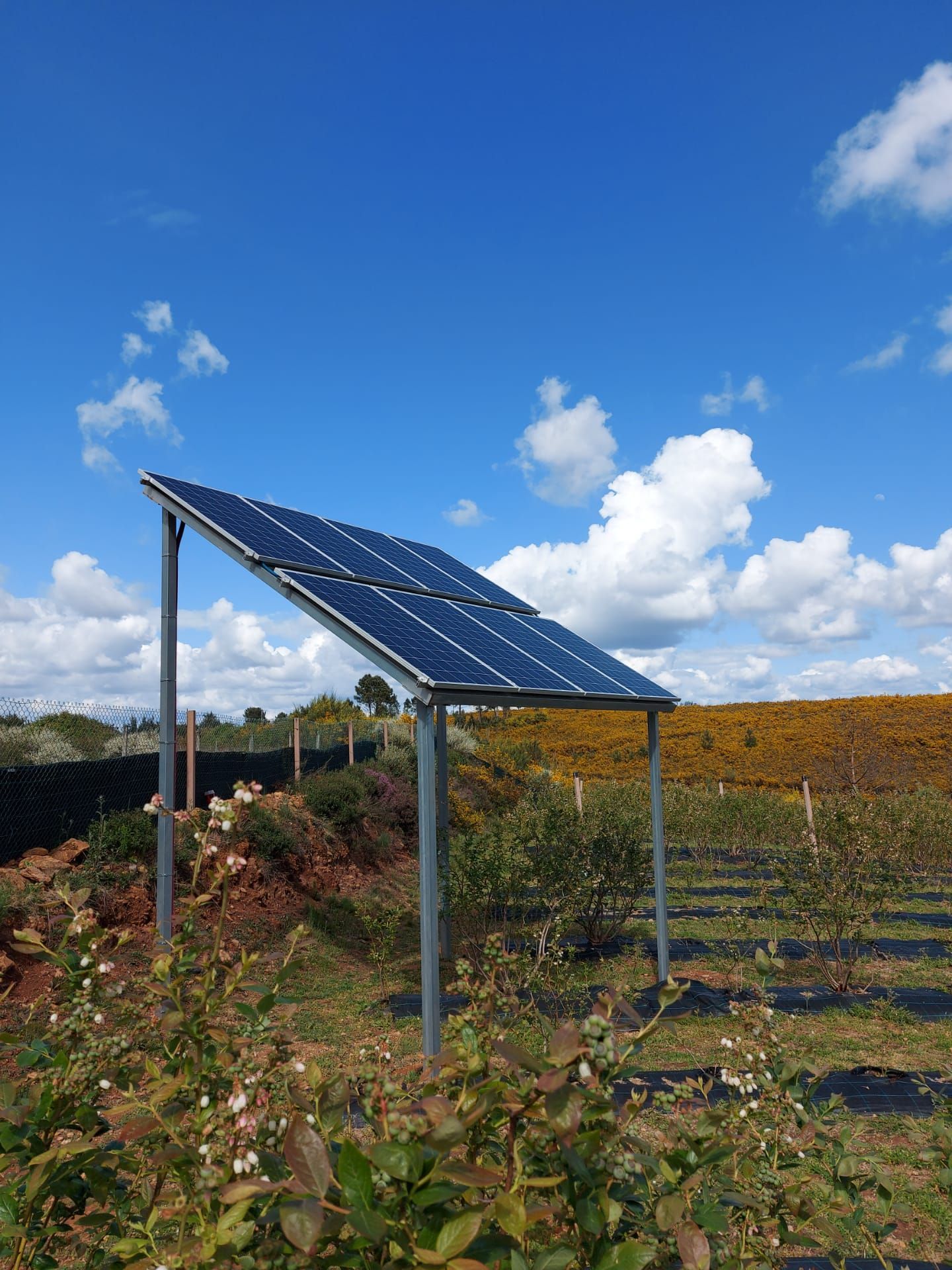 tratamento águas Tábua, Coimbra, Santa Comba Dão, Arganil e Penacova