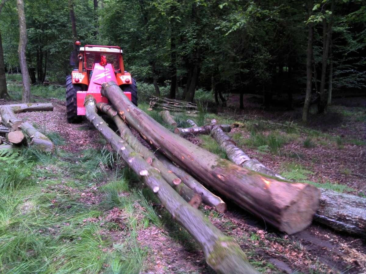 SARL DVSE s’occupe de l’élagage et abattage d'arbres et d'arbustes à Fontaine-au-Bois dans le Nord