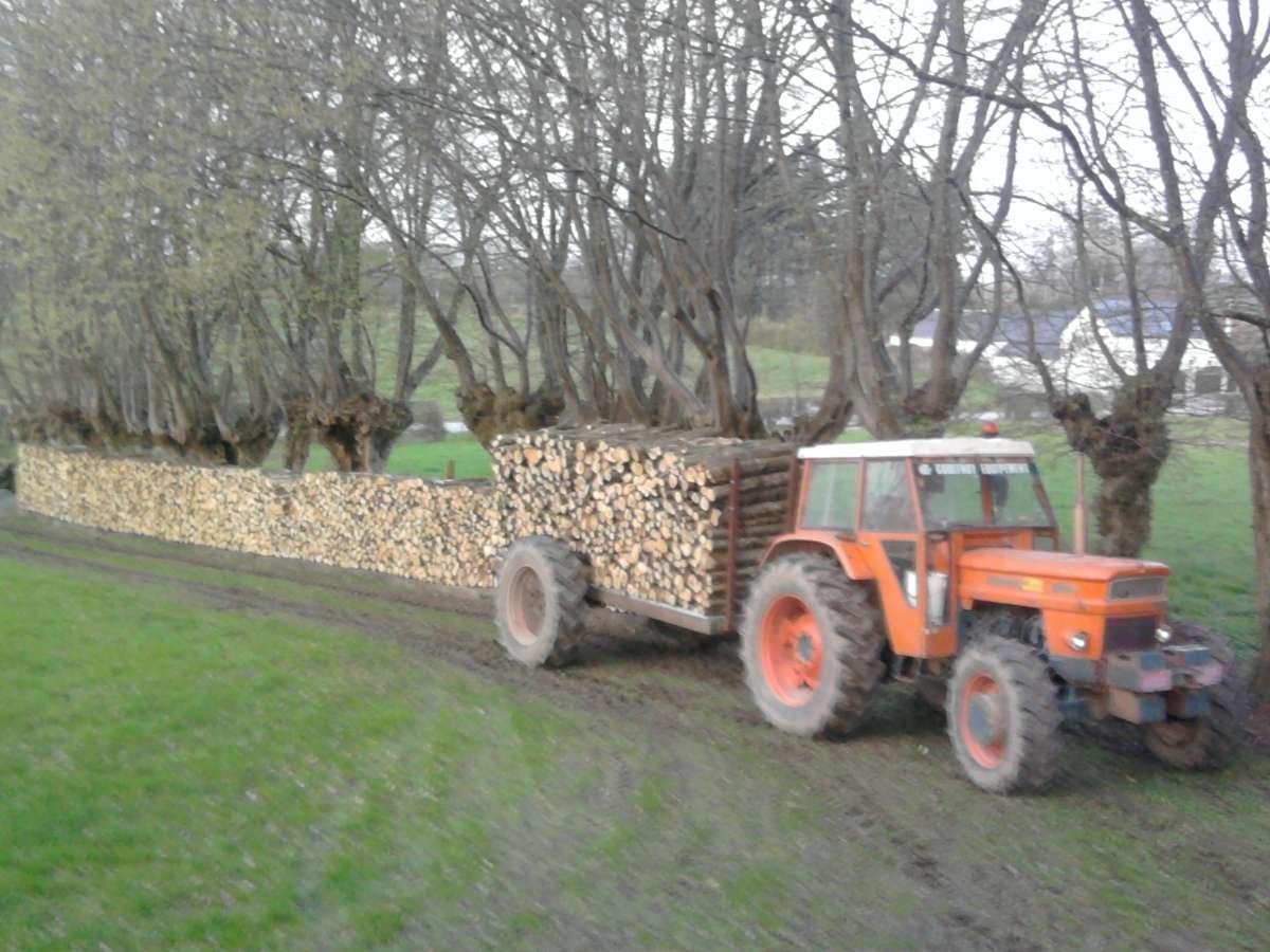 SARL DVSE à Fontaine au Bois dans le Nord assure la livraison de bois de chauffage dans le Nord près de Cambrai, Valenciennes, Maubeuge