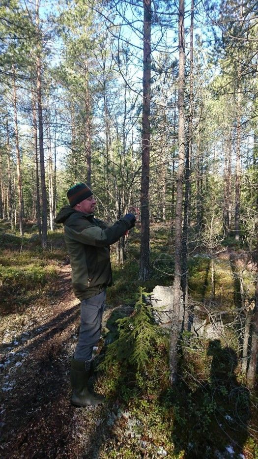 Luo Alt-tekstitunnisteet hakukoneoptimointia ja saavutettavuutta varten. 