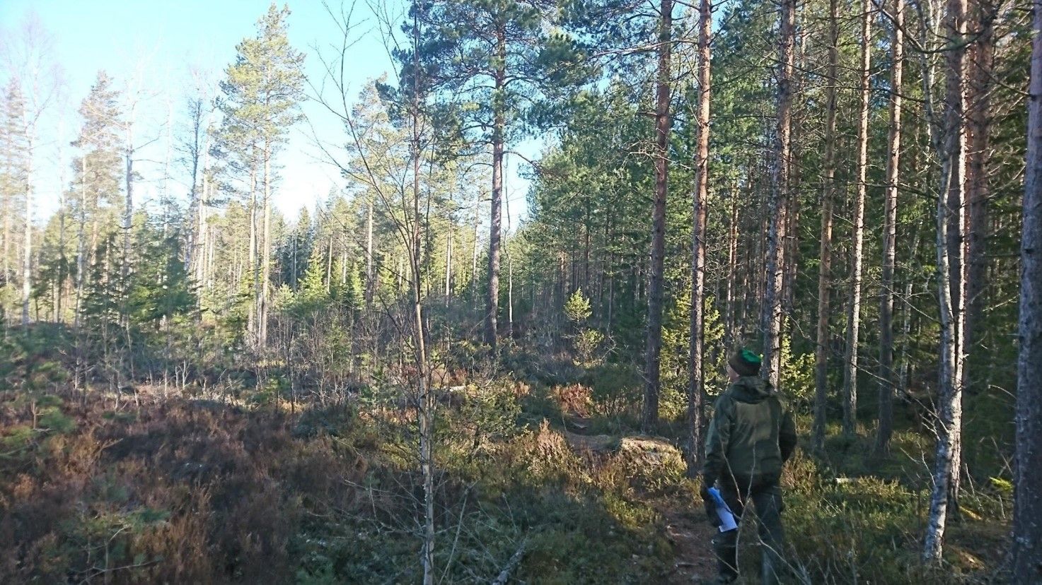 Luo Alt-tekstitunnisteet hakukoneoptimointia ja saavutettavuutta varten.