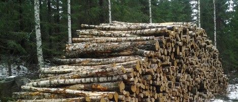 Luo Alt-tekstitunnisteet hakukoneoptimointia ja saavutettavuutta varten.