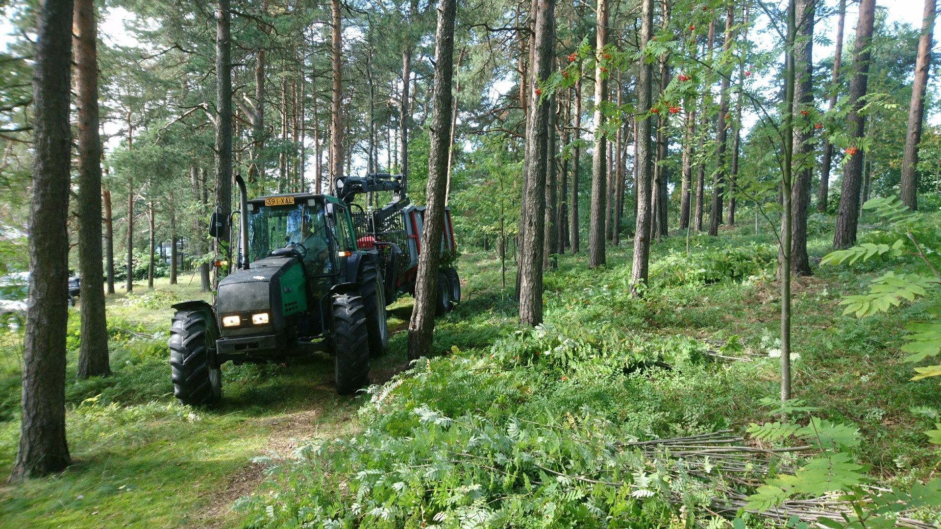 Luo Alt-tekstitunnisteet hakukoneoptimointia ja saavutettavuutta varten.