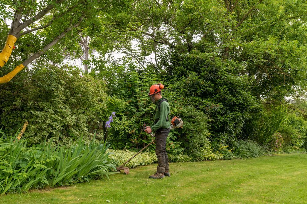 Entretien du contour d'un parterre de plantes
