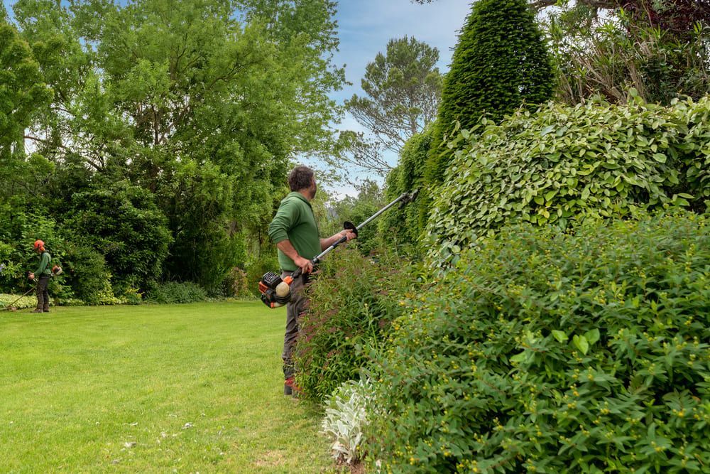 Employé entretenant les arbres avec un sécateur électrique à manche long