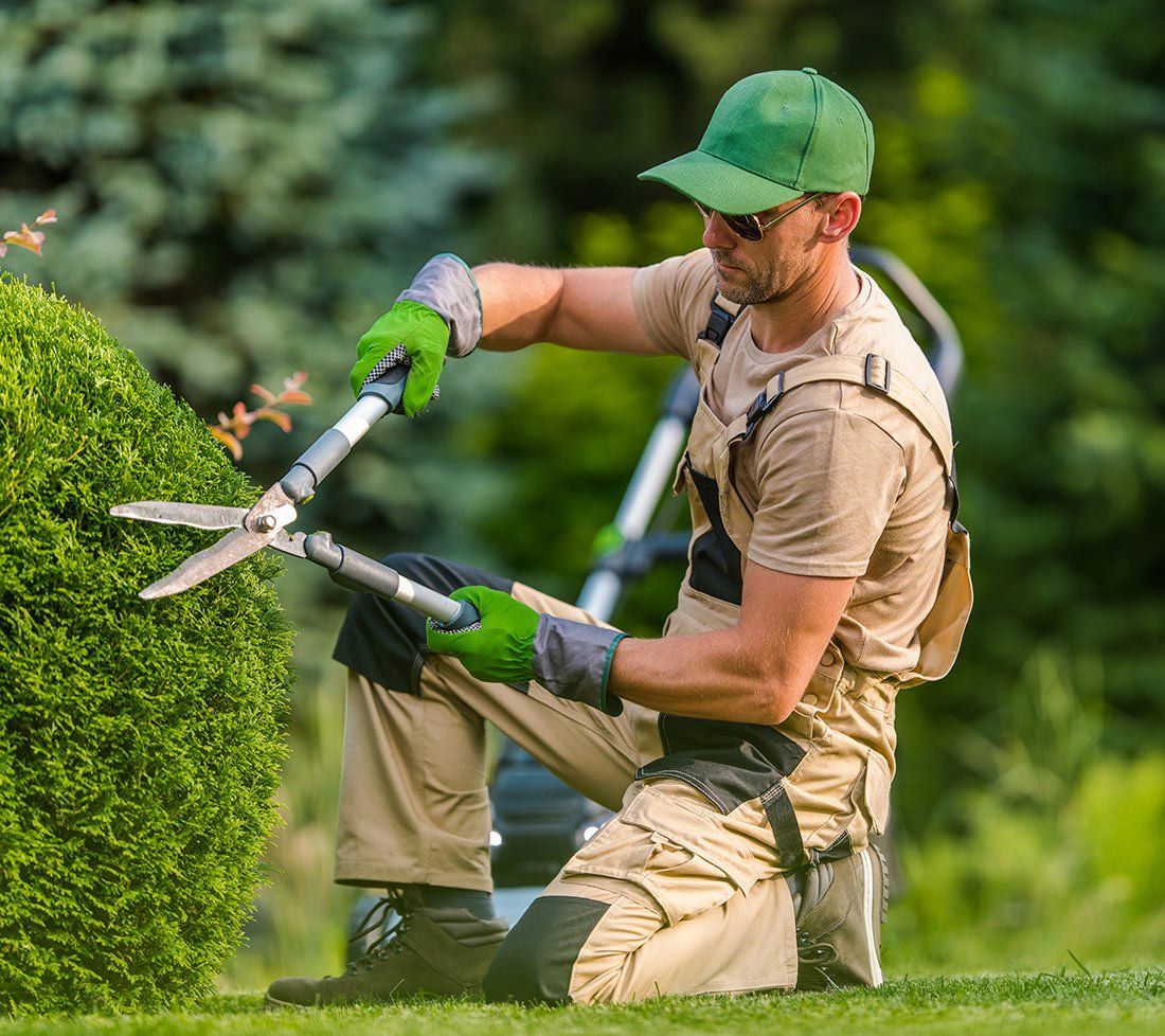 Ouvrier accroupi taille un arbuste