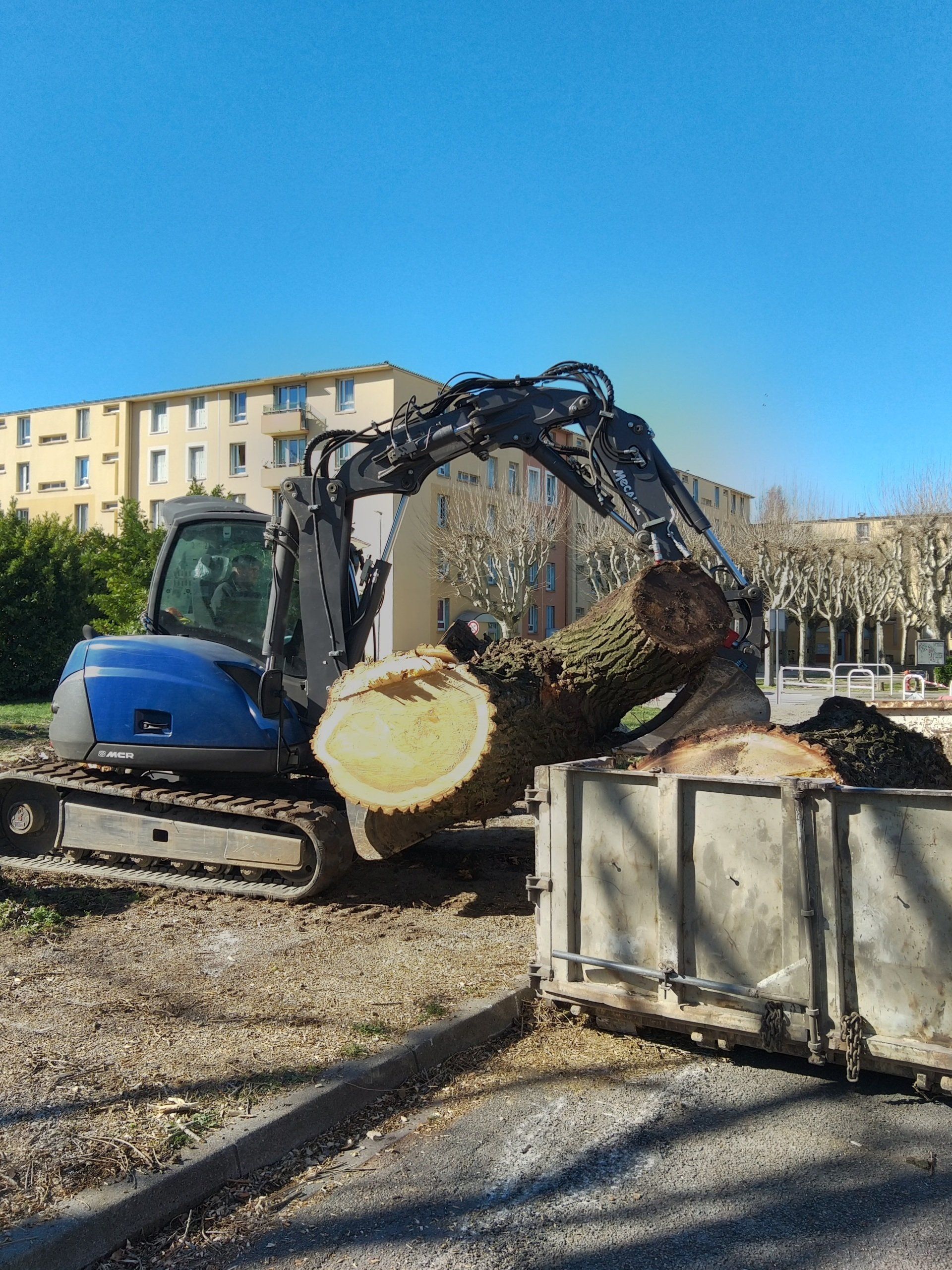 Deux ouvriers poussant ensemble un rondin d'arbre