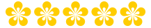 Etoiles fleurs jaunes