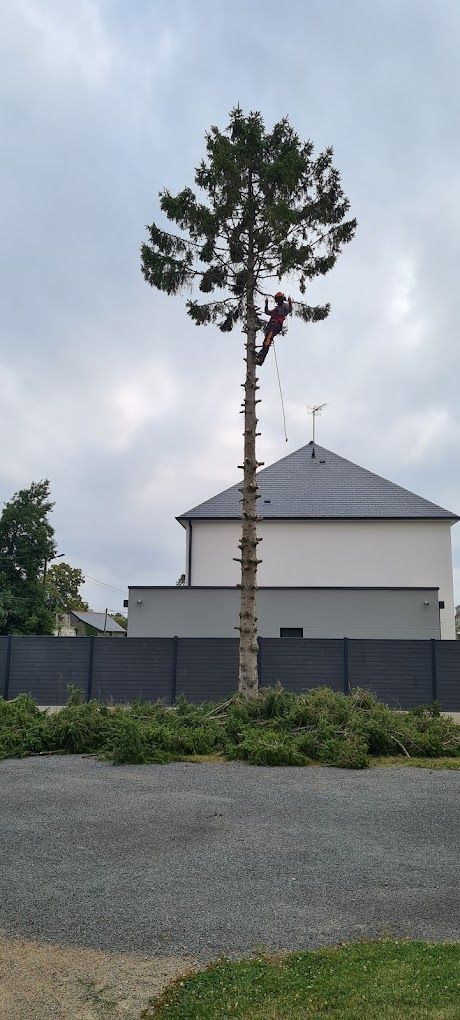 Une maison avec un arbre