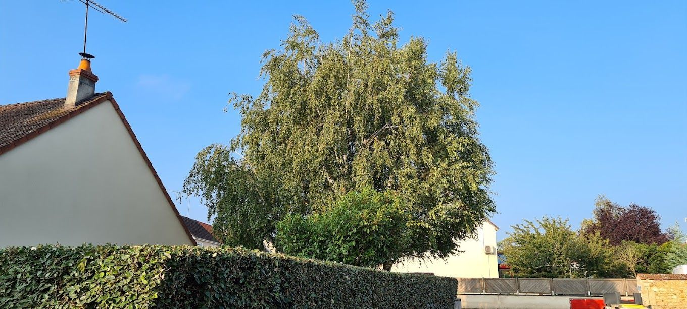 Une haie et une maison